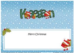 Large Dl Christmas Kaegan Robin Insert