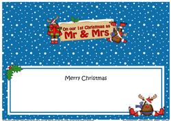 Large Dl 1st Christmas Mr & Mrs Insert