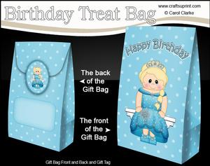 3D Birthday Little Ice Princess Gift Bag Mini Kit