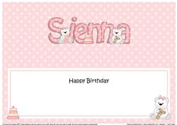 Large Dl Birthday Sienna Teddies Insert