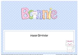 Large Dl Birthday Bonnie Cat Insert