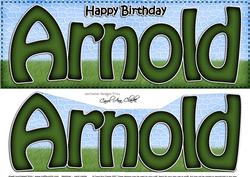 Large Dl Birthday Arnold & 3D Decoupage