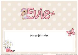 Large Dl Birthday Evie Livvy Bear Insert