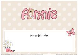 Large Dl Birthday Annie Livvy Bear Insert