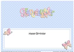 Large Dl Birthday Granddaughter Butterflies Insert