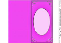 Dl 'silver Metallic Frame' Card Front or Insert