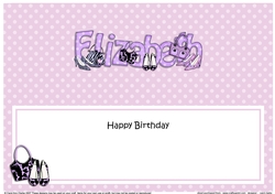 Large DL Birthday ELIZABETH Shoes & Handbags insert