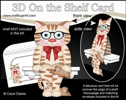3D On the Shelf Card Kit - Sydney the Cute Little Short Sighted Cat has a Toy Mouse