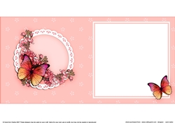 6x6 A Touch of Elegance Flowers and Butterflies matching insert