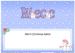Large DL Christmas NIECE Snowball Sam insert