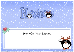 Large DL Christmas  NEPHEW Pip Penguin insert