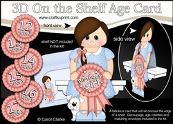 3D On the Shelf Card Kit - Little Teen Hayley is the Birthday Girl with ages 12 - 17 age Rosette Decoupage