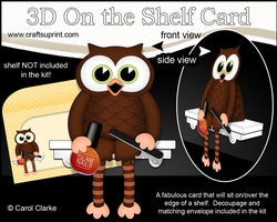 3D On the Shelf Card Kit - Little Hoot Owl Glam Nails Nail Technician