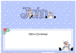 Large DL Christmas JOHN insert