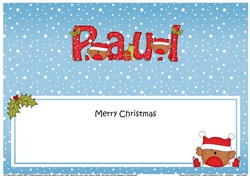 Large DL Christmas PAUL insert