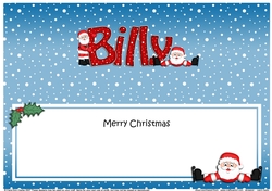 Large DL Merry Christmas BILLY insert