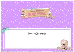 Large DL Merry Christmas EVIE MAE insert