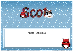 Large DL Merry Christmas SCOT insert