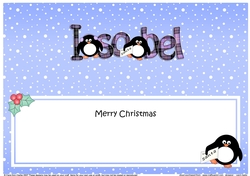 Large DL Merry Christmas ISOBEL insert