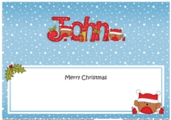 Large DL Merry Christmas JOHN insert