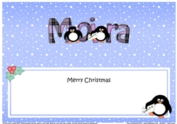 Large DL Merry Christmas MOIRA insert