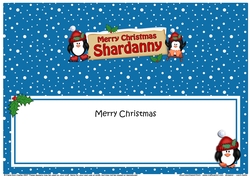 Large DL Merry Christmas SHARDANNY insert