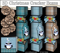 3D Christmas Cracker Boxes Tartan Penguin Pip