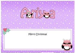 Large DL Merry Christmas ARIYA insert