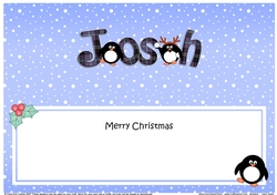 Large DL Merry Christmas JOSH insert