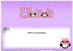 Large DL Merry Christmas ELLISIA insert