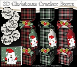 3D Christmas Cracker Boxes Tartan Snowball Sam goes Carol Singing
