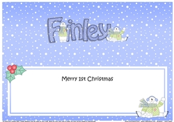 Large DL Merry 1st Christmas FINLEY insert