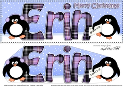 Large DL Merry Christmas ERIN 3D decoupage