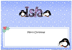 Large DL Merry Christmas ISLA insert