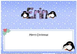 Large DL Merry Christmas ERIN insert