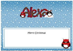 Large DL Merry Christmas ALEXA insert