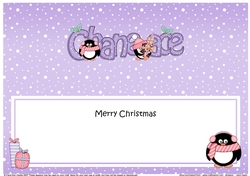 Large DL Merry Christmas CHANEACE insert