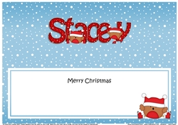 Large DL Merry Christmas STACEY insert