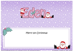 Large DL Merry 1st Christmas EDEN insert