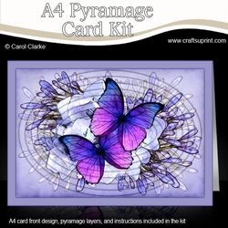 A4 Butterflies & Flowers Oval Pyramage Kit