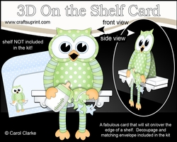 3D On the Shelf Card Kit - Little Hoot Baby Owl