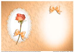 Rose, Lace and Pearls Matching Insert A5 Portrait