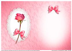 Rose, Lace and Pearls Matching Insert A5 Portrait