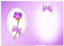 Rose, Lace and Pearls Matching Insert A5 Portrait