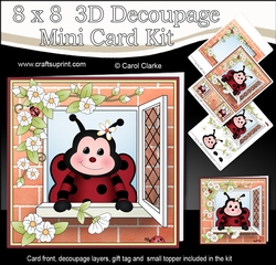 8 x 8 Mini Kit with 3d Decoupage - Through the Window - Little Ladybird Bugs