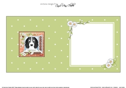 Square landscape insert - Through the Window - Cute Little Springer Spaniel Dog