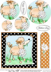 Cute Poodle Quick Card with Circle Pyramage