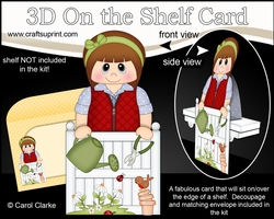 3D On the Shelf Card Kit - In the Garden - All is Blooming for Teen Kimmy