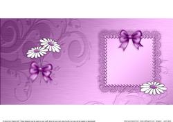 Daisies and Metallic Lace Matching Insert Square Portrait
