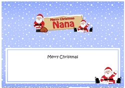 large DL Merry Christmas NANA Santa insert